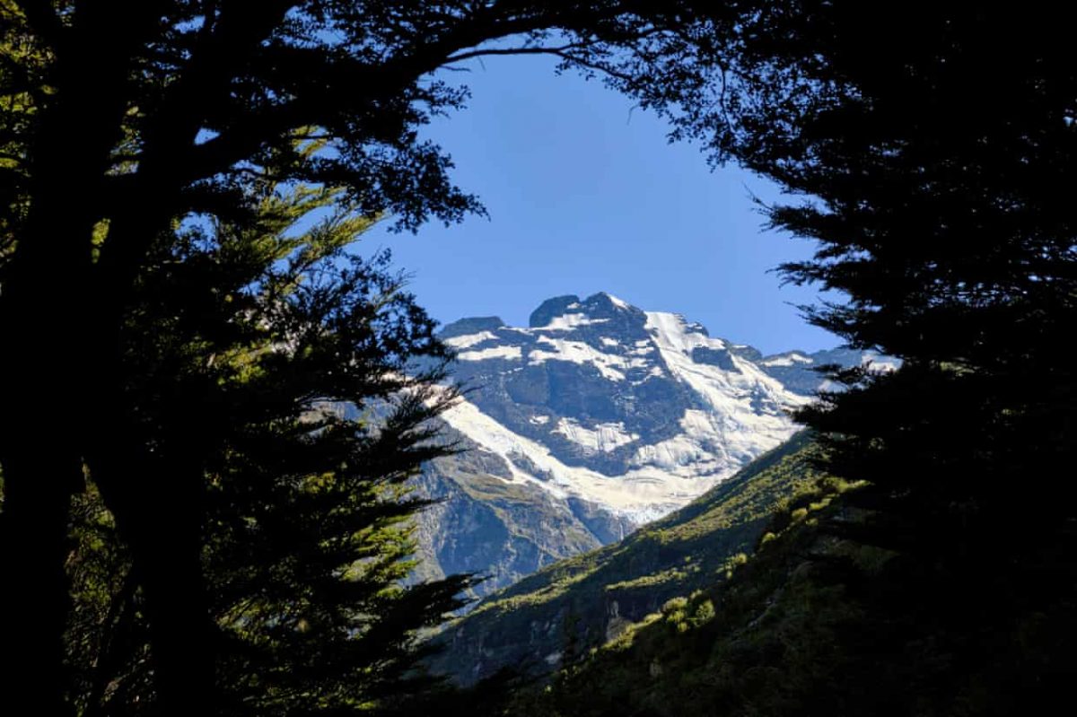 New Zealand releases its first national plan to protect against climate ...